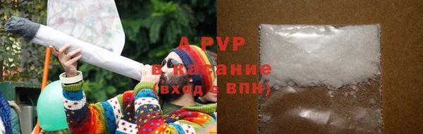 PSILOCYBIN Аркадак