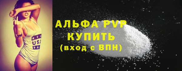 PSILOCYBIN Аркадак