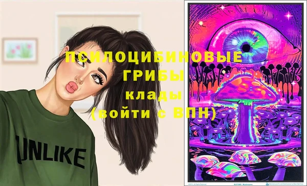 соль ск Арсеньев