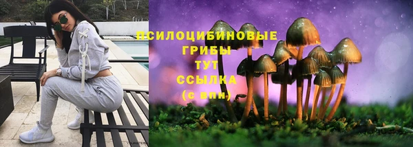 соль ск Арсеньев
