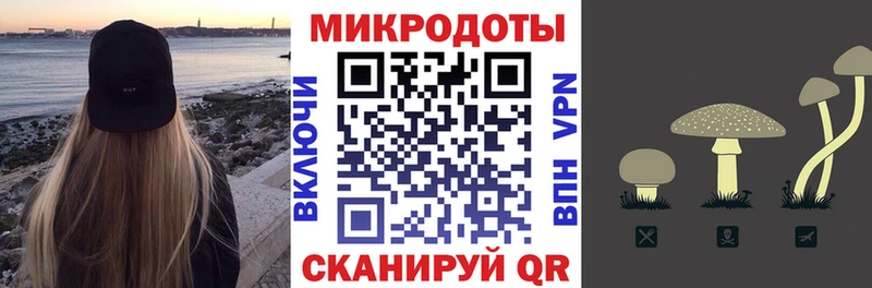 Псилоцибиновые грибы Psilocybe  Рыбное 