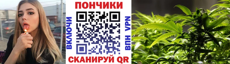 Бошки марихуана MAZAR  Рыбное 